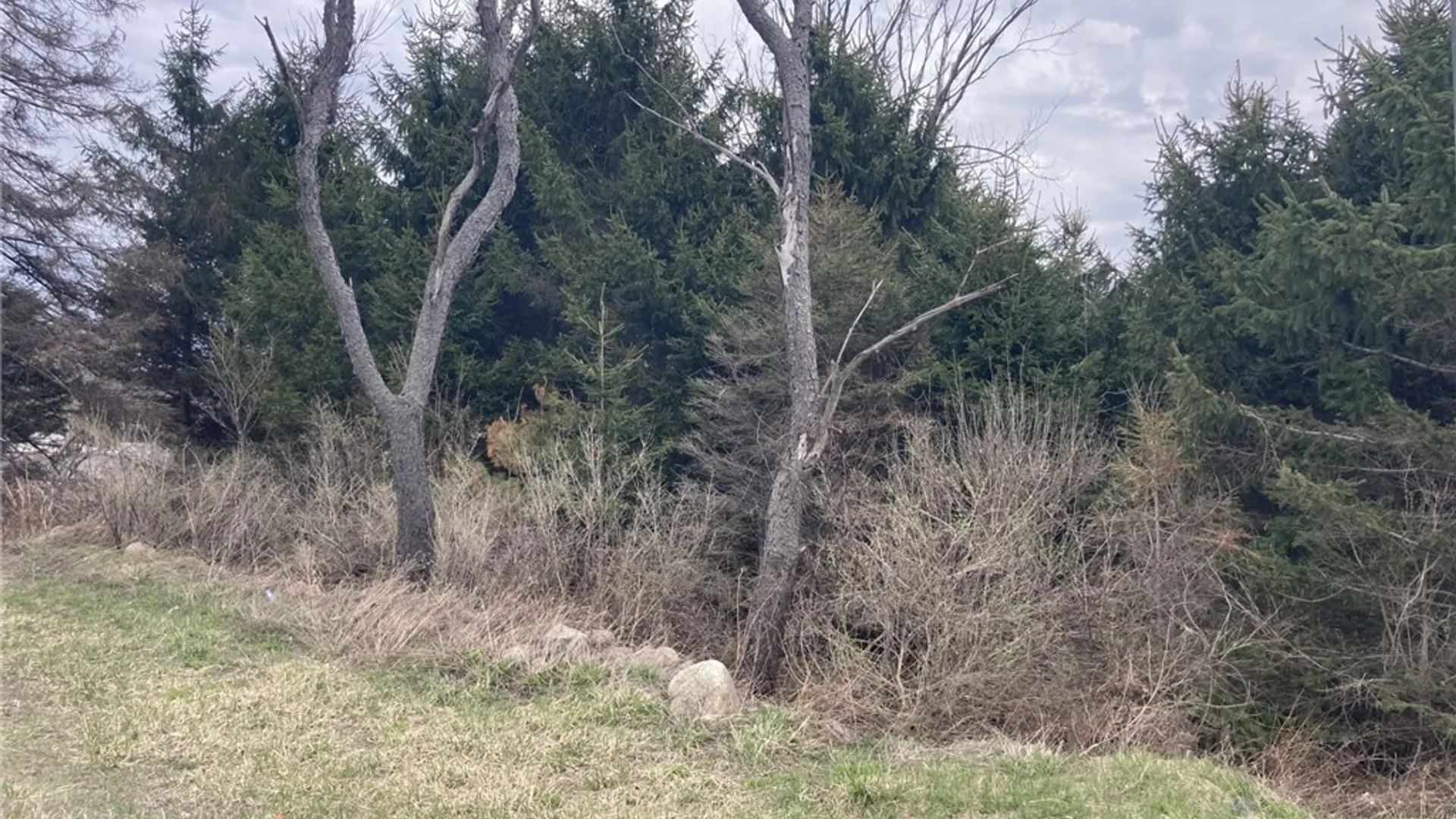 Property at 11333 State Route 12, Boonville, NY 13309 3