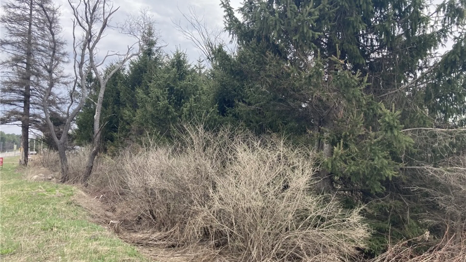 Property at 11333 State Route 12, Boonville, NY 13309 5