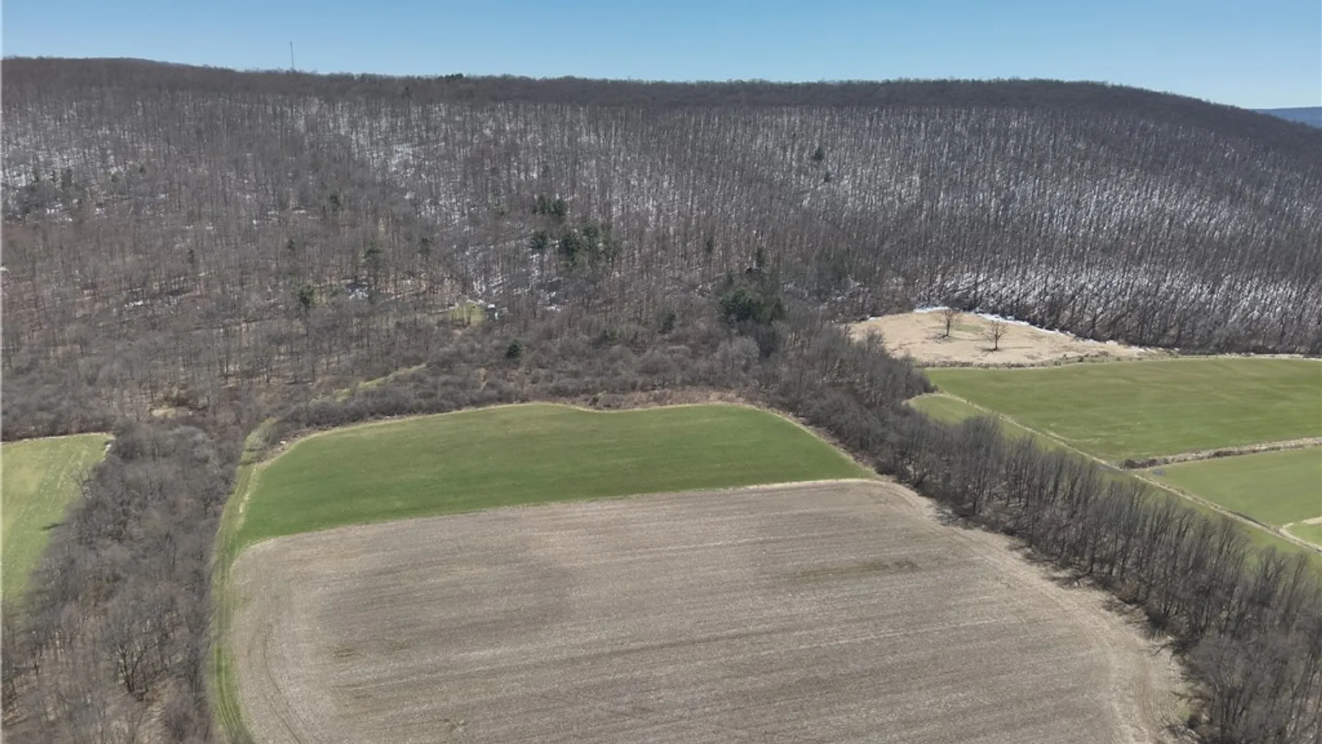 Property at v/l Bunker Hill Road, Cold Spring, NY 14772 10