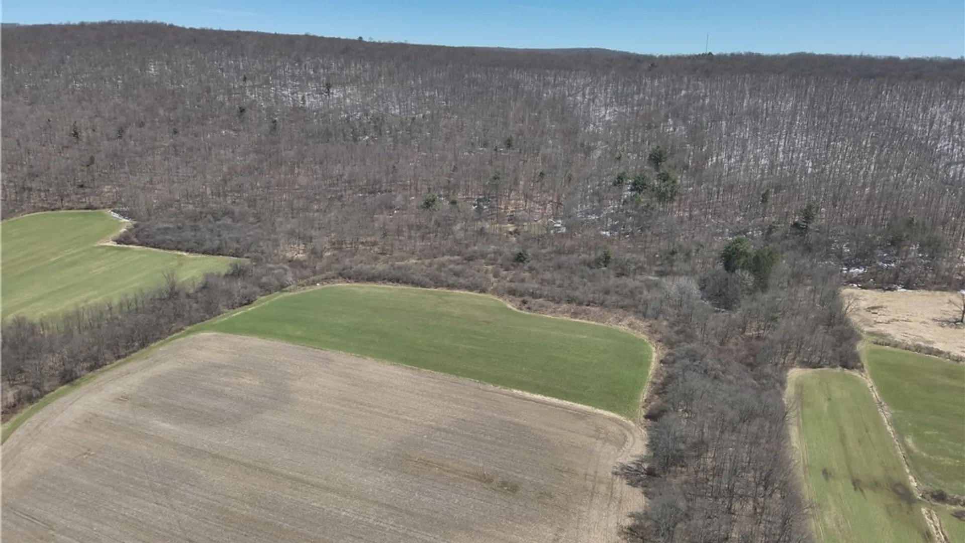 Property at v/l Bunker Hill Road, Cold Spring, NY 14772 11