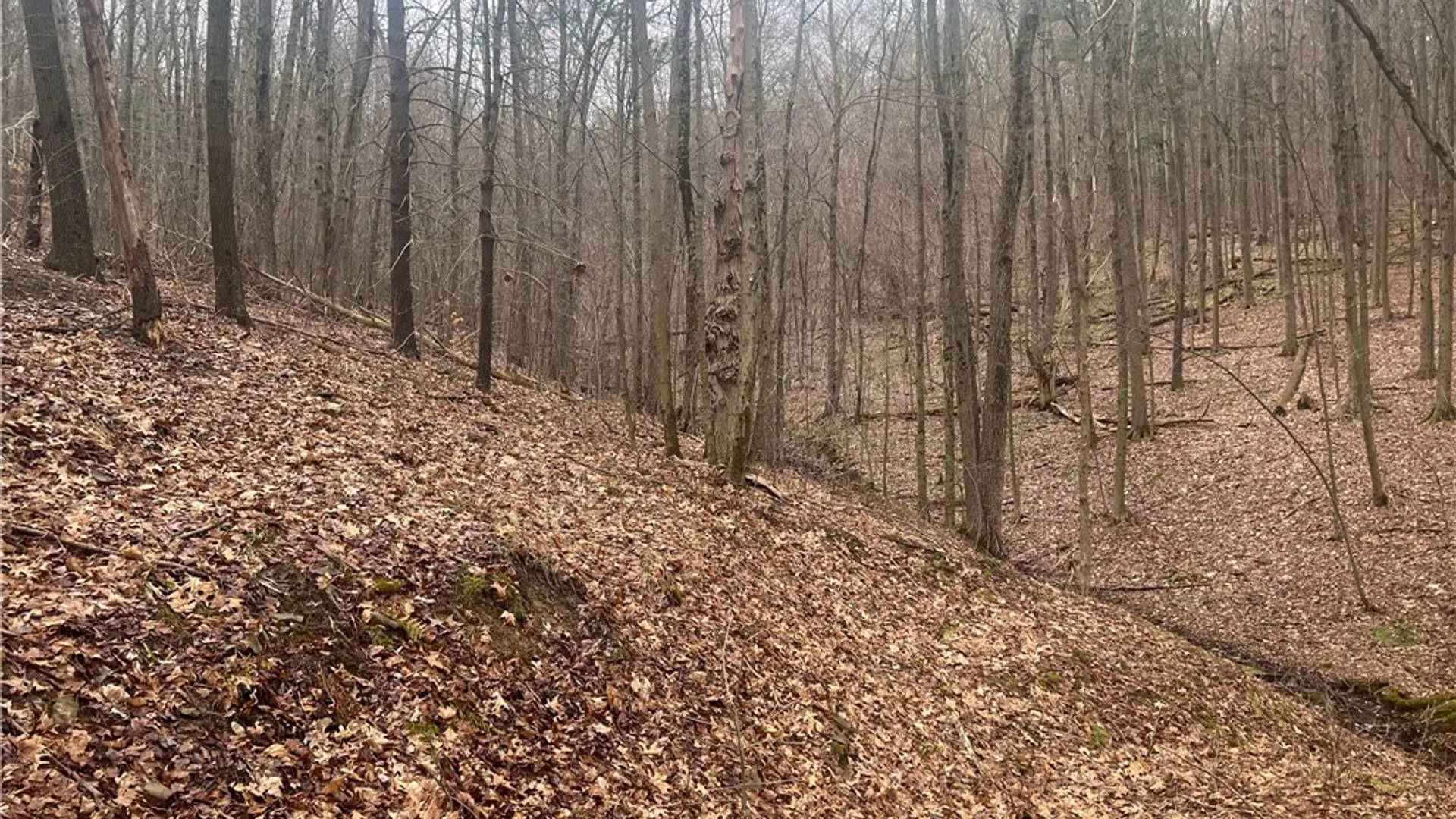 Property at v/l Bunker Hill Road, Cold Spring, NY 14772 12