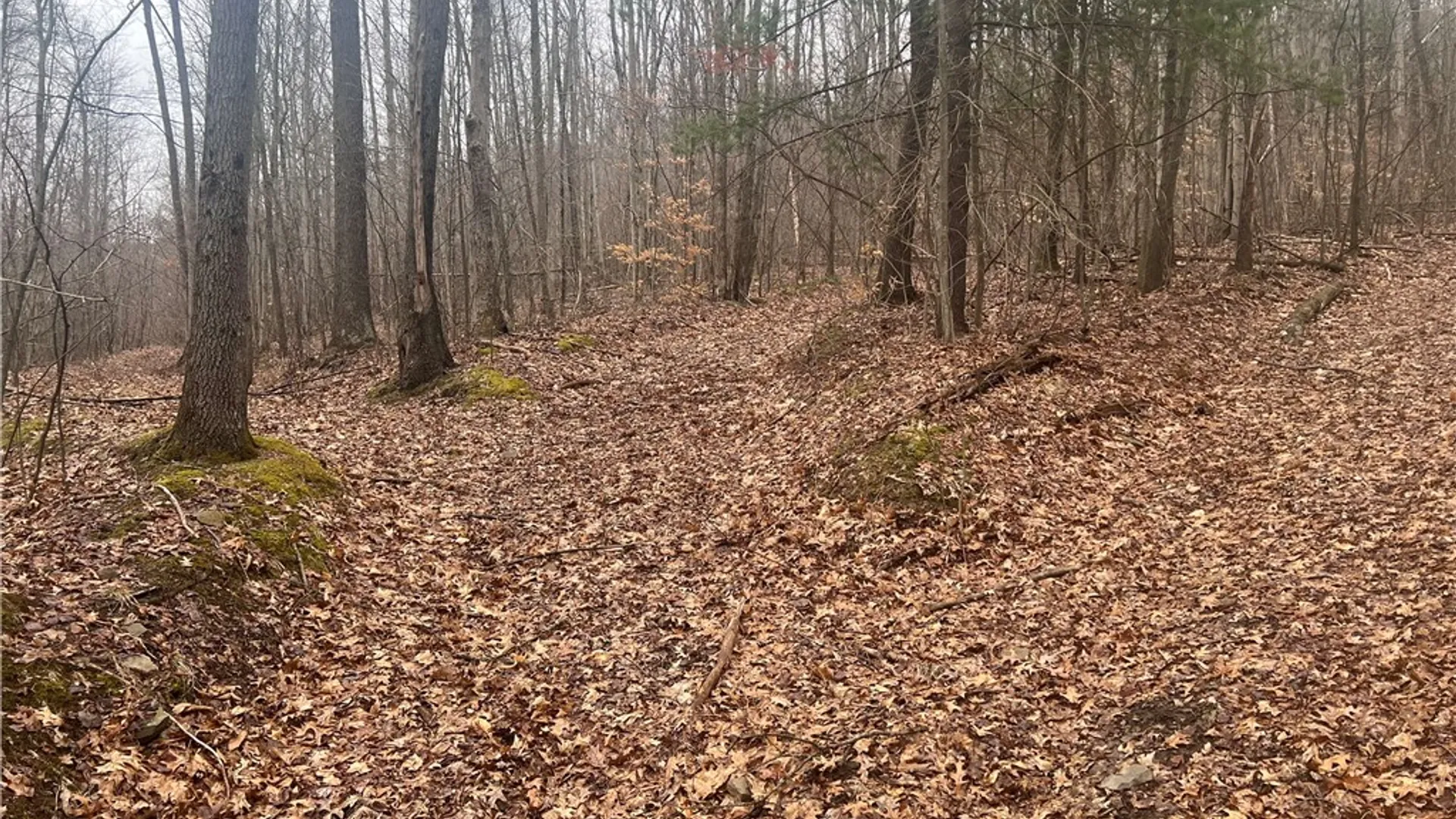 Property at v/l Bunker Hill Road, Cold Spring, NY 14772 13