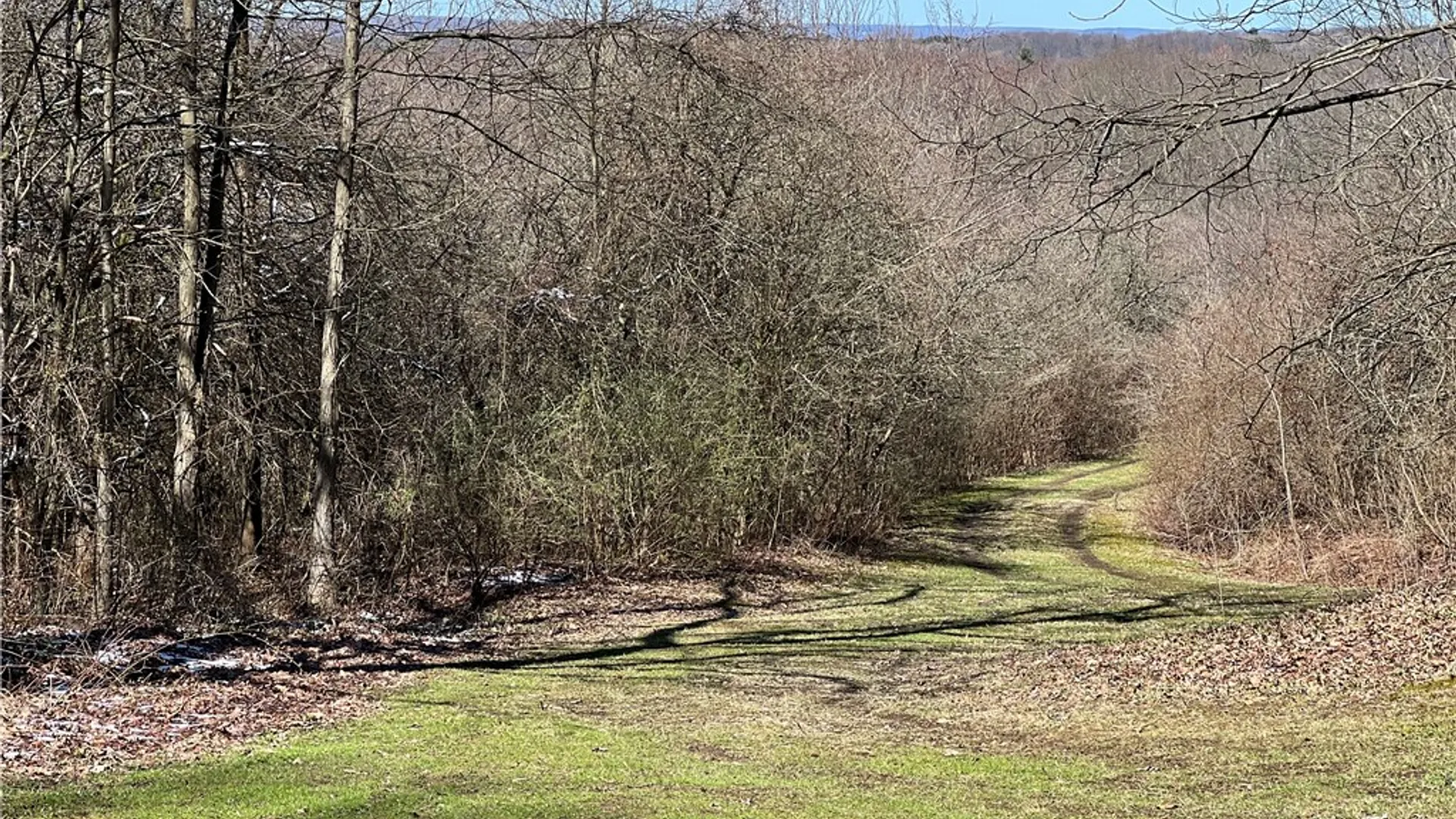 Property at v/l Bunker Hill Road, Cold Spring, NY 14772 2