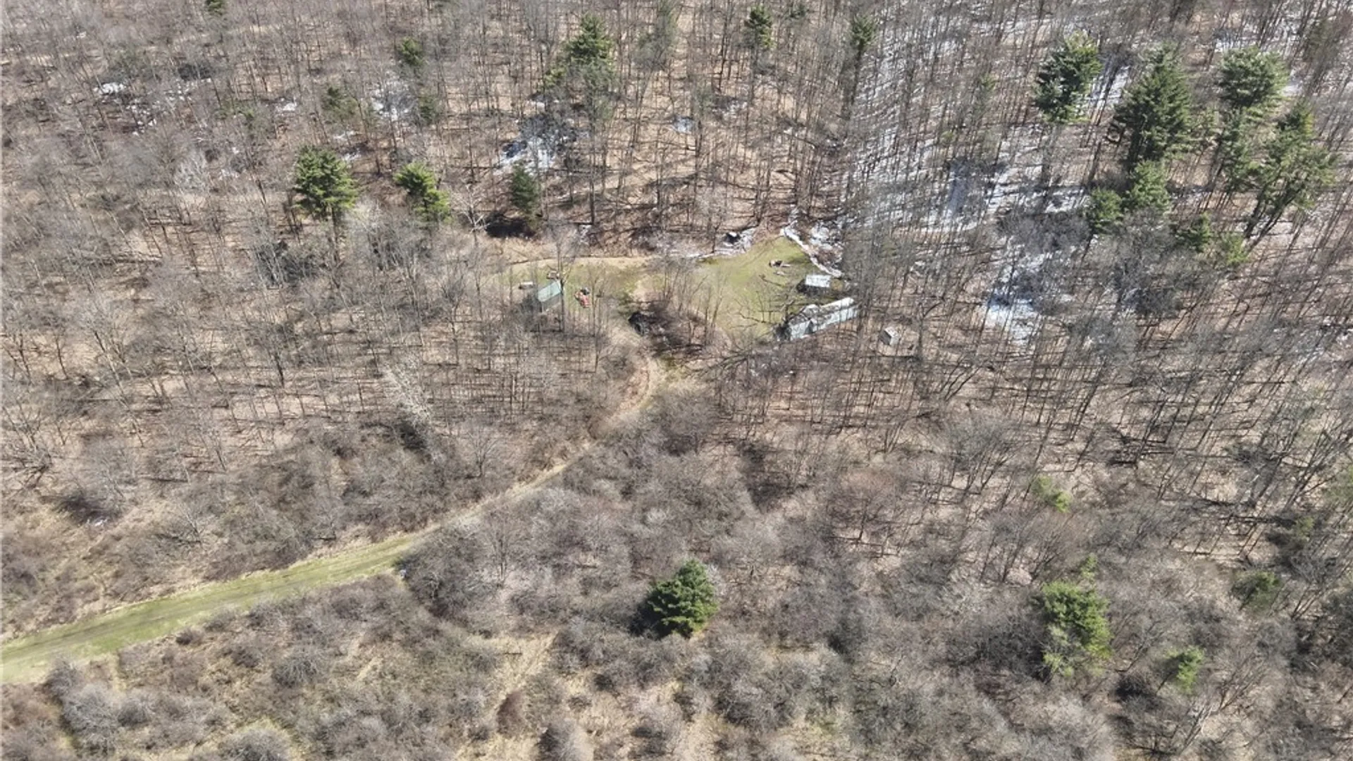 Property at v/l Bunker Hill Road, Cold Spring, NY 14772 5