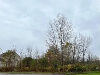 126 Arcadia Avenue, Oswego, NY 13126