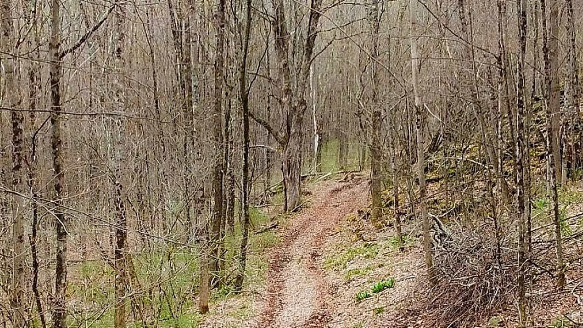 Property at Fox Meadow Lane, Middletown, NY 12455 5