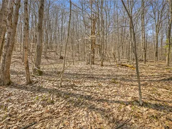 Property at L9.114 Lutheranville Road, Summit, NY 12064