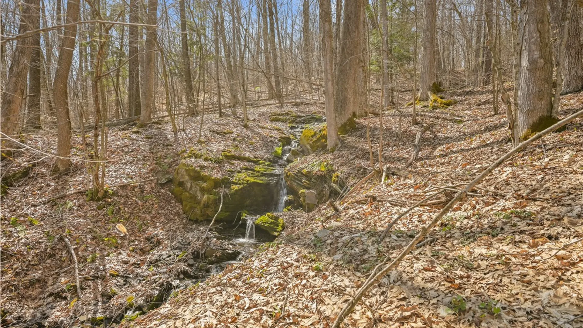 Property at L9.113 Lutheranville Road, Summit, NY 12064 2