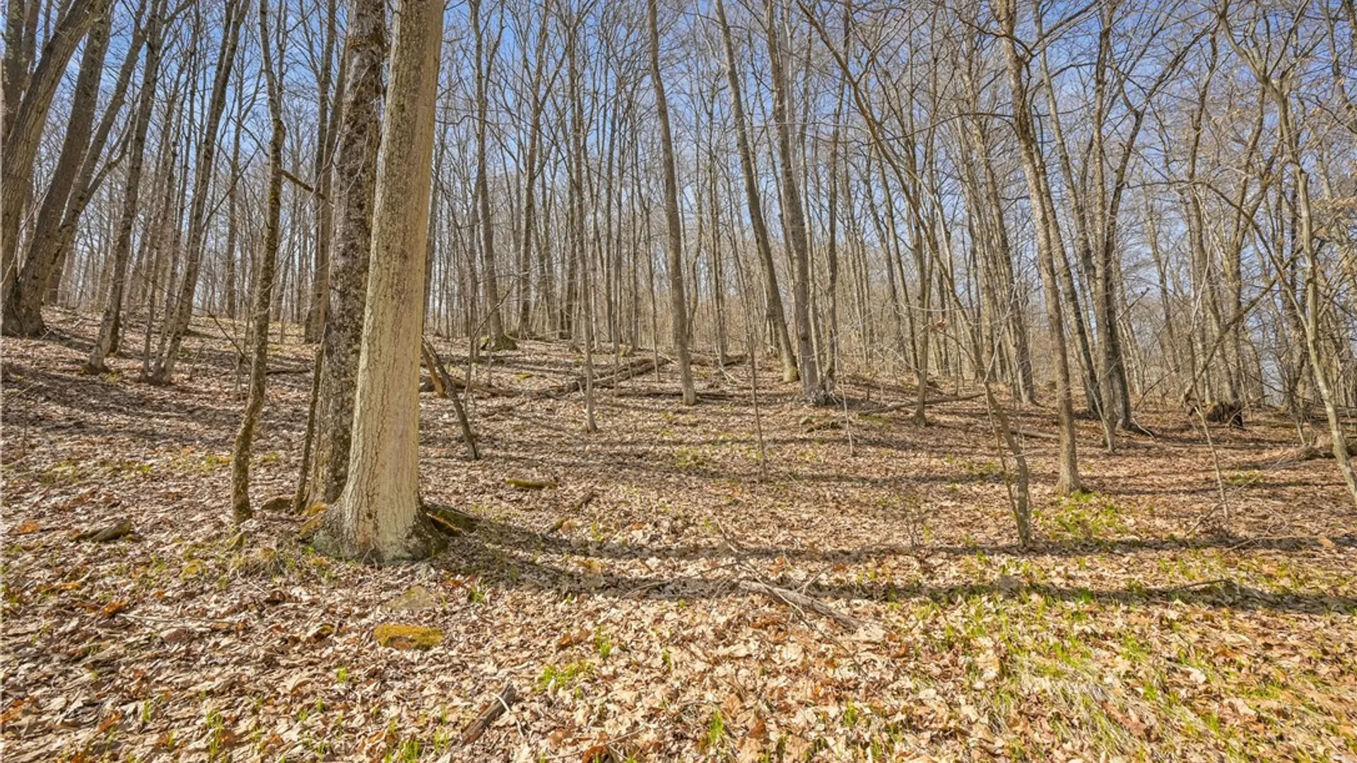 Property at L9.113 Lutheranville Road, Summit, NY 12064 3