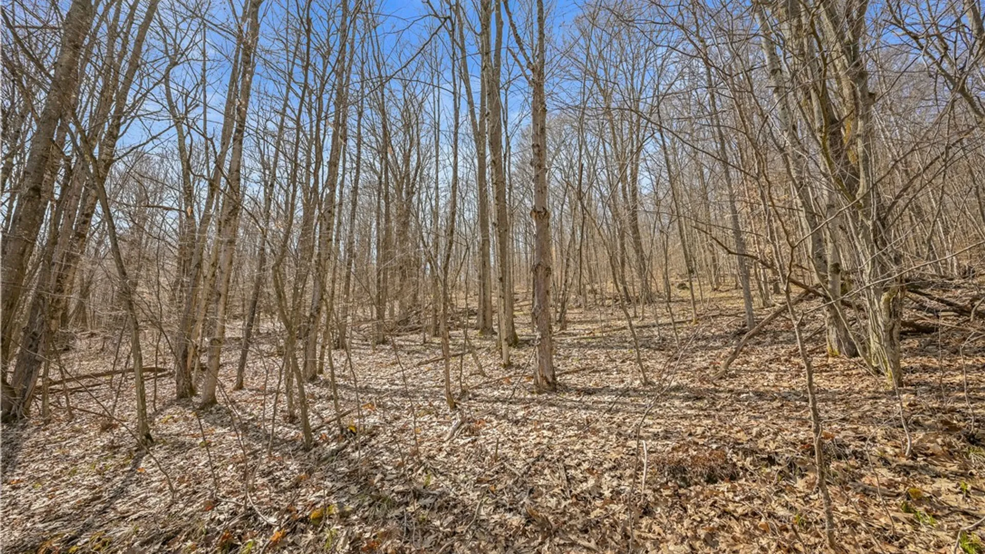 Property at L9.113 Lutheranville Road, Summit, NY 12064 7