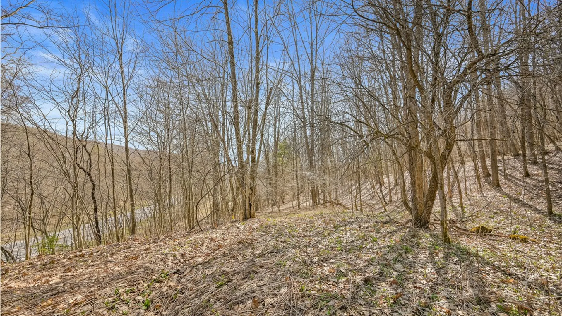 Property at L9.113 Lutheranville Road, Summit, NY 12064 8