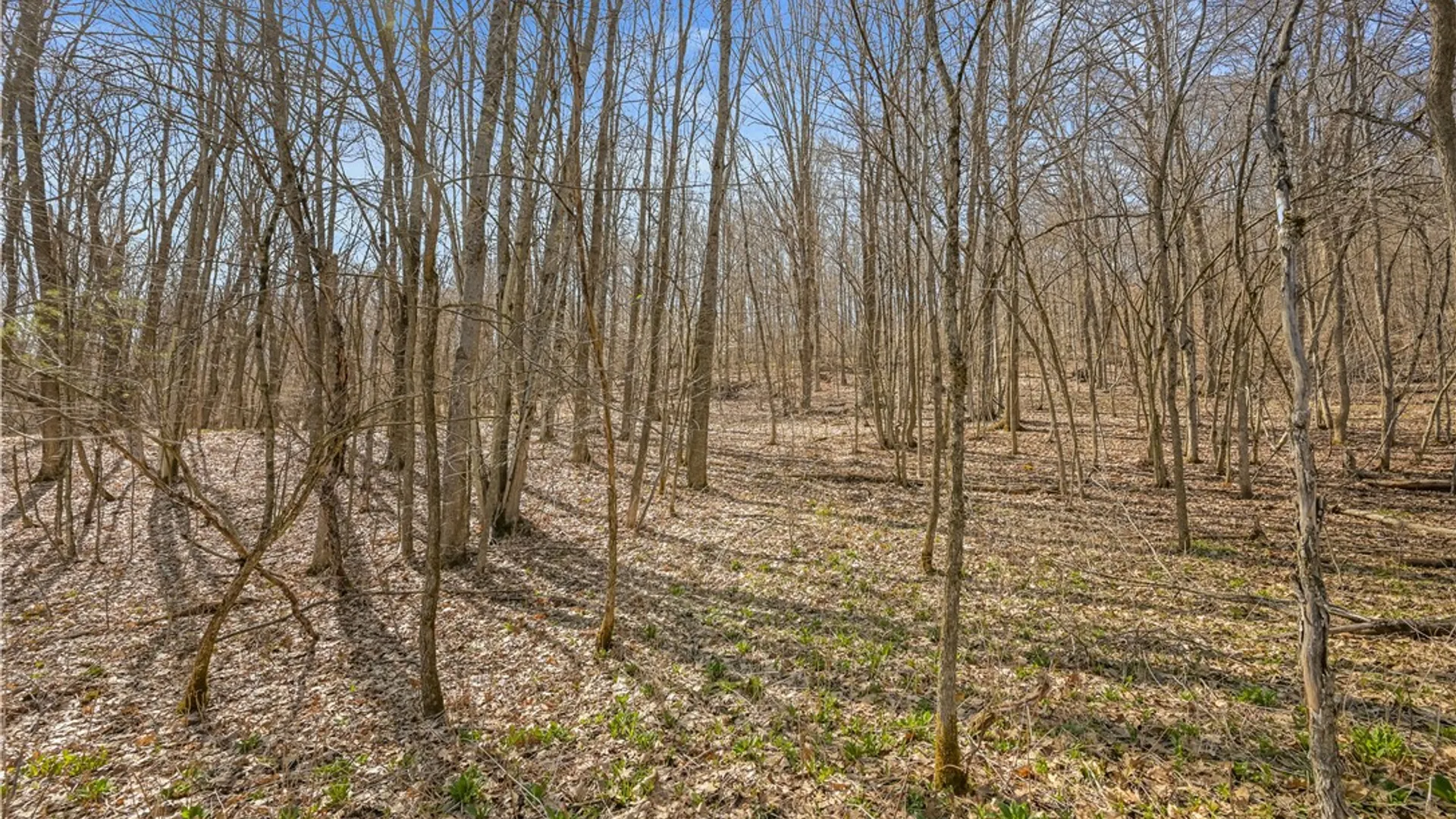 Property at L9.113 Lutheranville Road, Summit, NY 12064 9