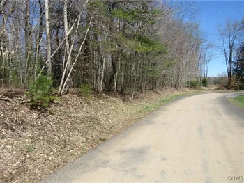 Property at Alder Road, Forestport, NY 13494