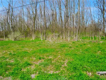 Property at 9151 Bray Road, Paris, NY 13456