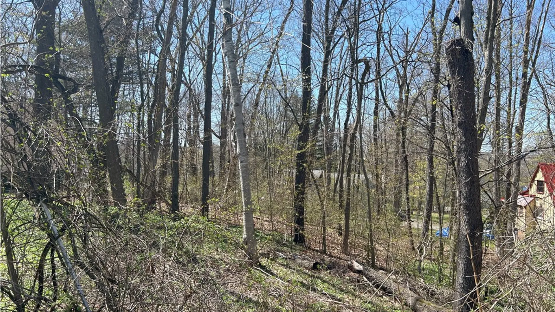 Property at Janes Road, Castile, NY 13901 10