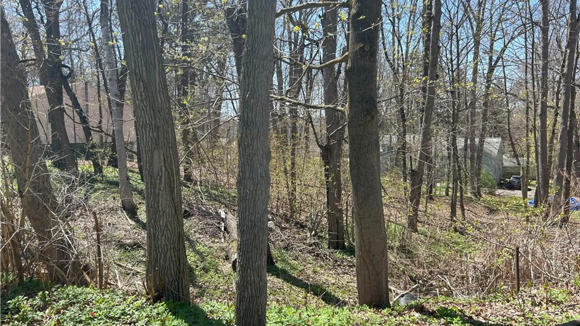 Property at Janes Road, Castile, NY 13901 11