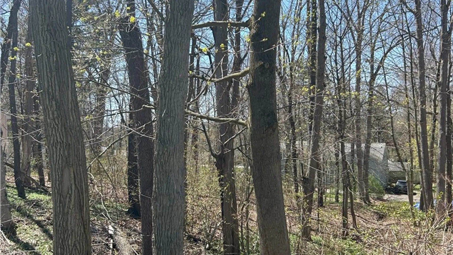 Property at Janes Road, Castile, NY 13901 12