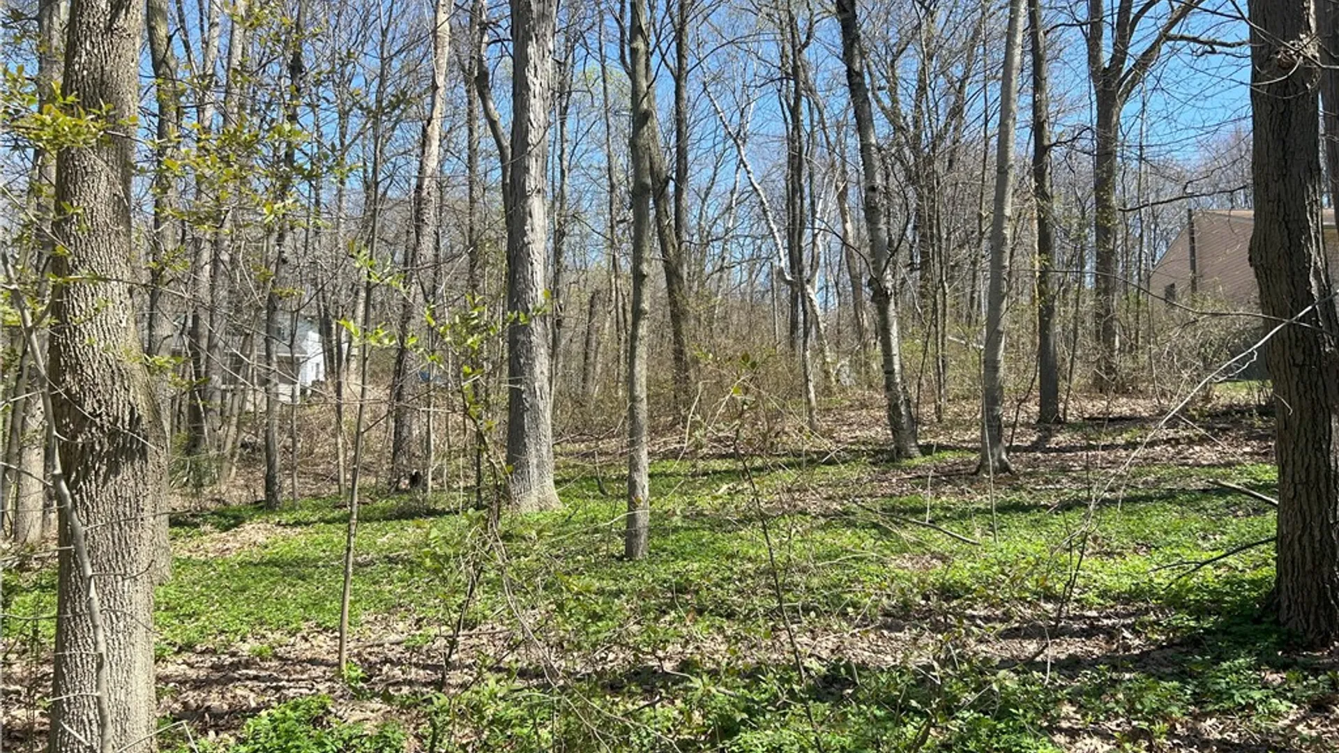 Property at Janes Road, Castile, NY 13901 3