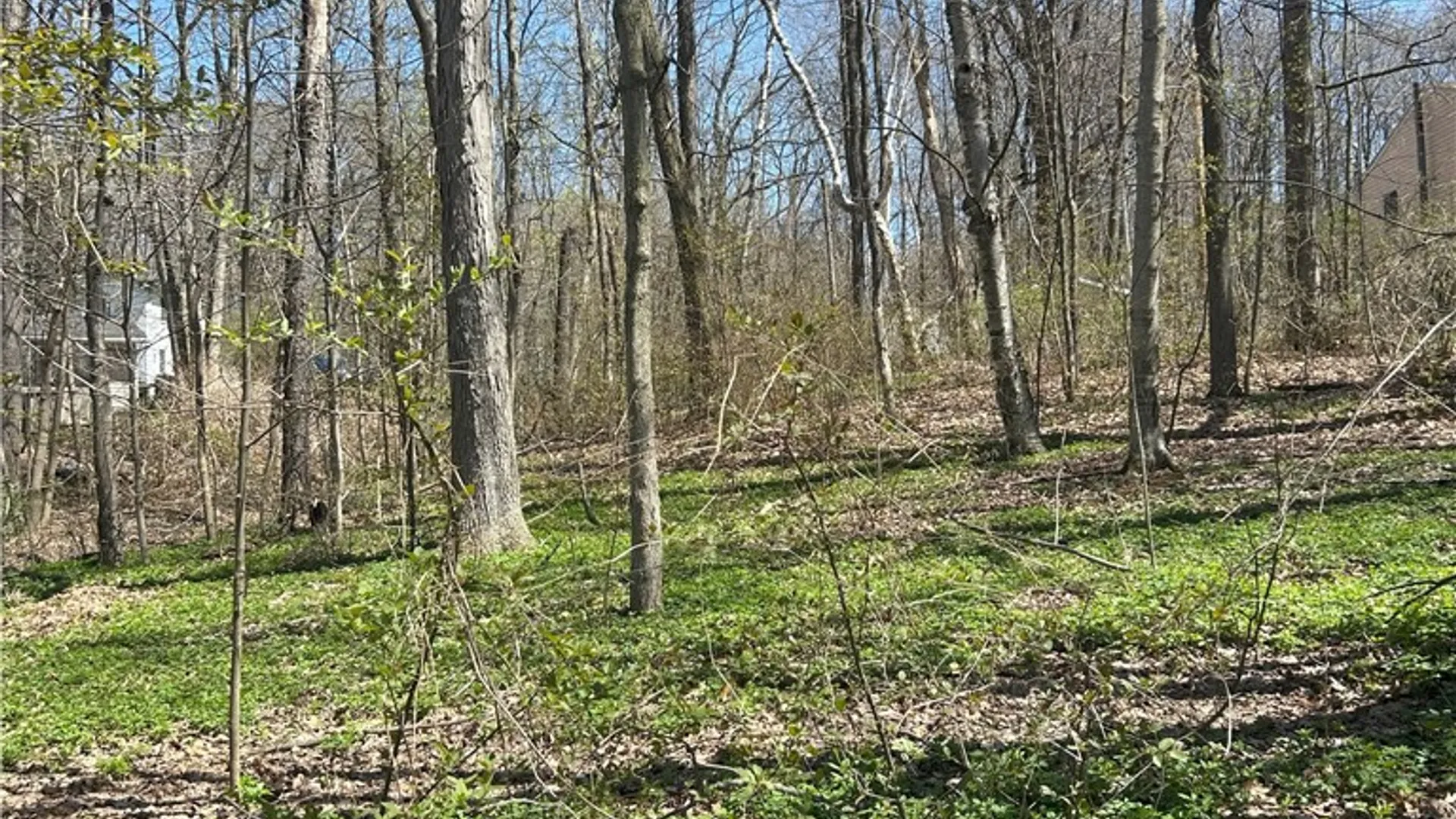 Property at Janes Road, Castile, NY 13901 4