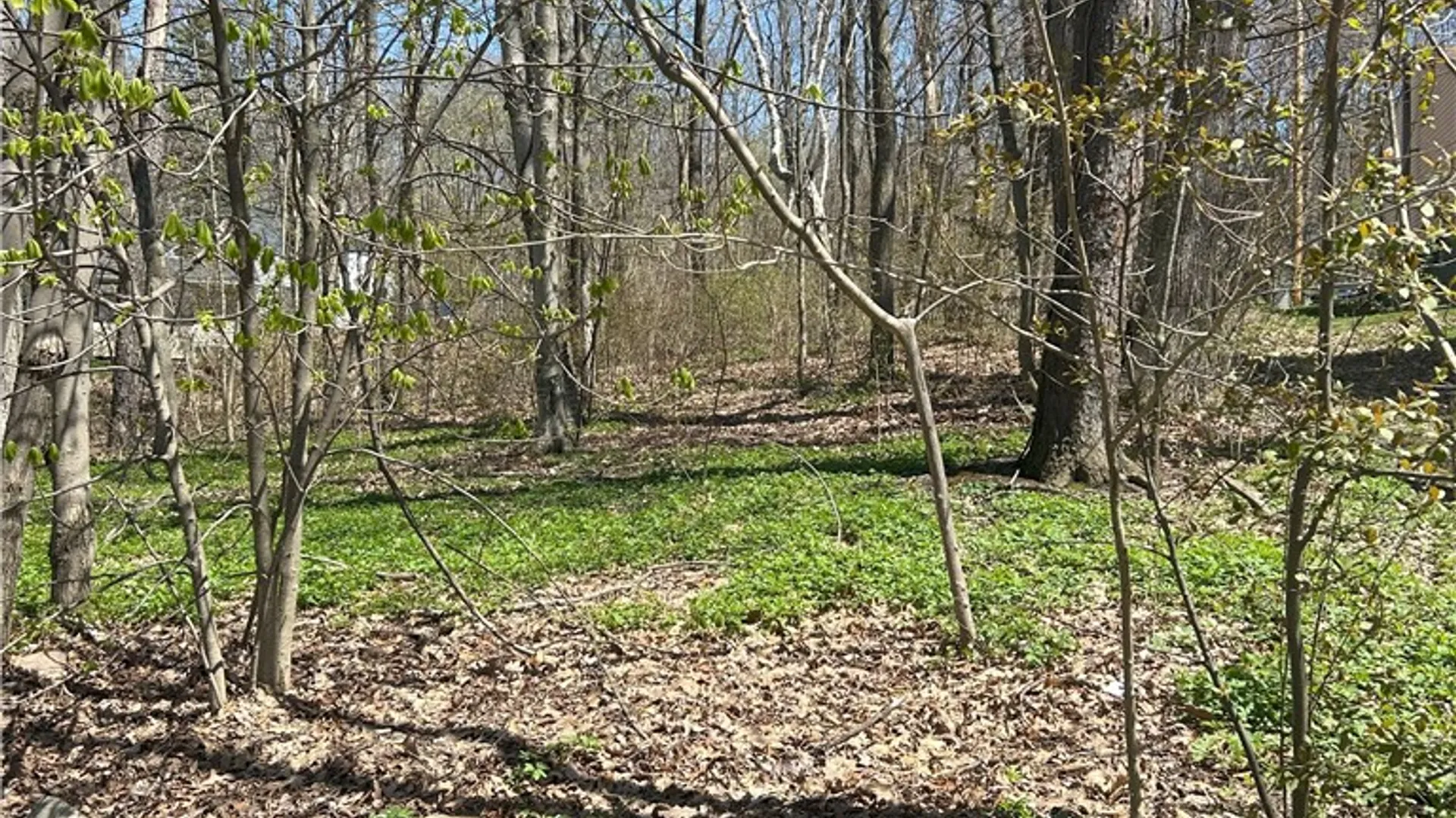 Property at Janes Road, Castile, NY 13901 5