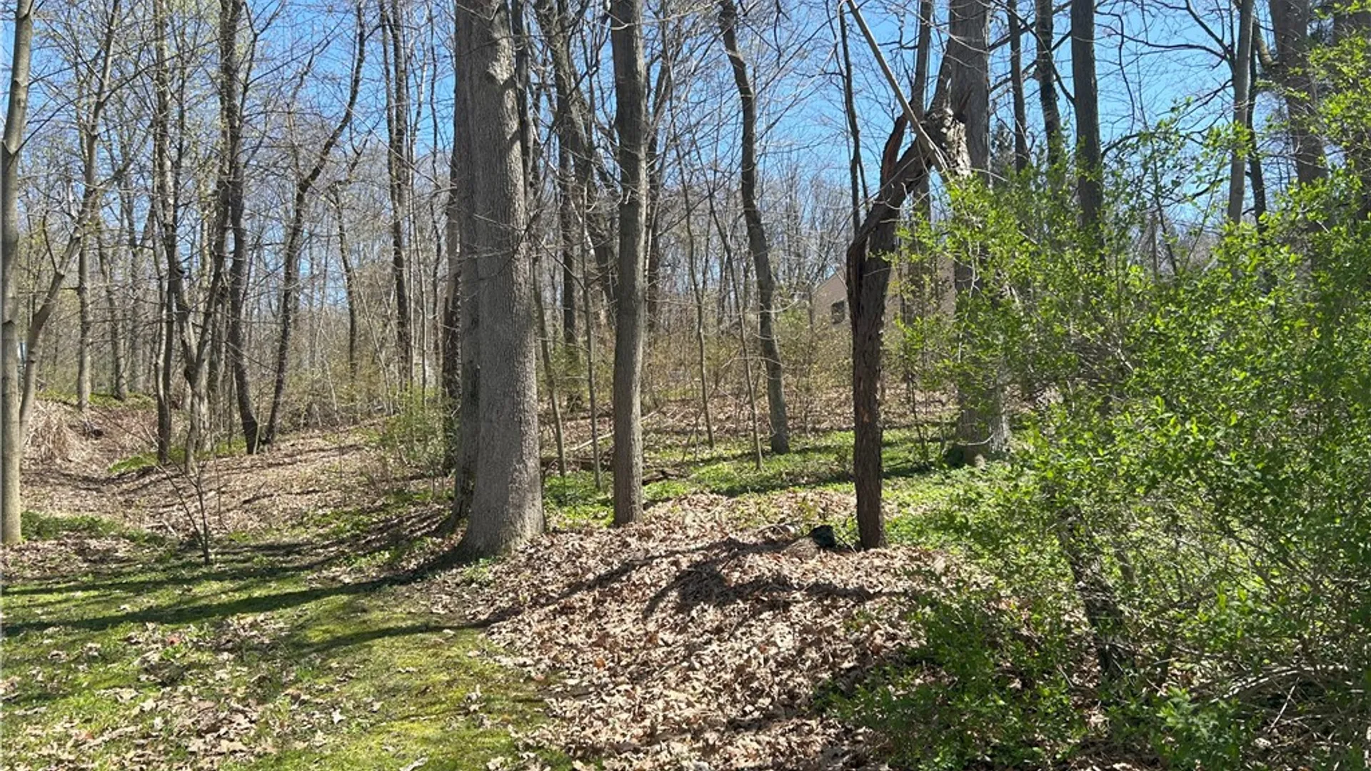 Property at Janes Road, Castile, NY 13901 6