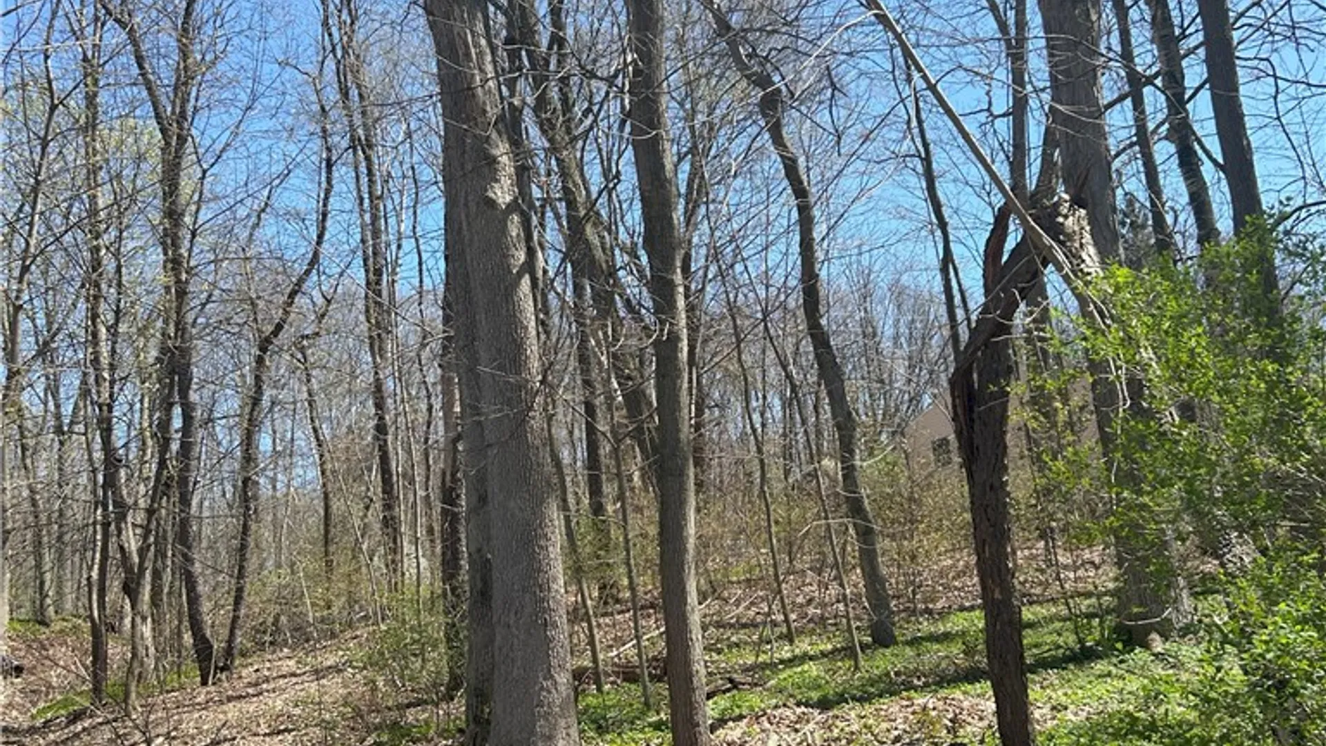 Property at Janes Road, Castile, NY 13901 7