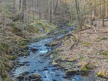 Property at 00 Nunda-Dansville Road, Ossian, NY 14437