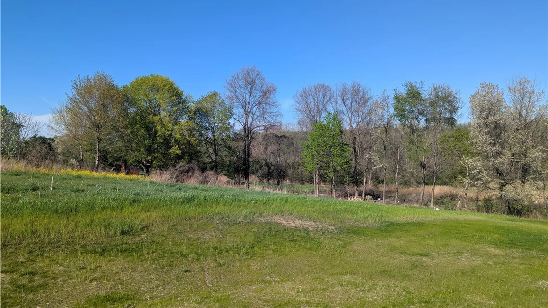 Property at 0 Co Rd 28 Road, Farmington, NY 14425 5