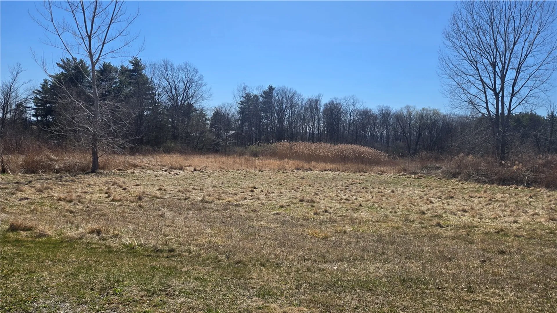 Property at 000 Ridge Road, Lansing, NY 14882 4