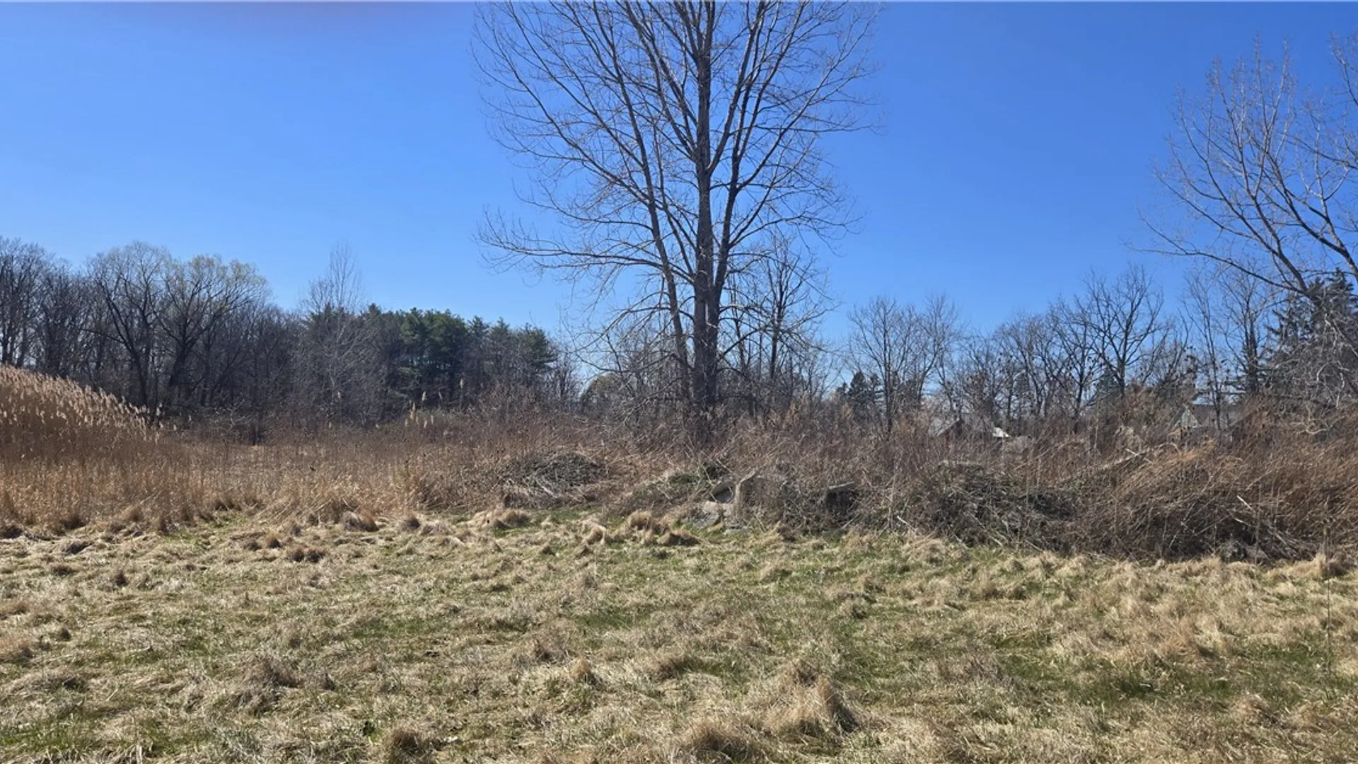 Property at 000 Ridge Road, Lansing, NY 14882 6