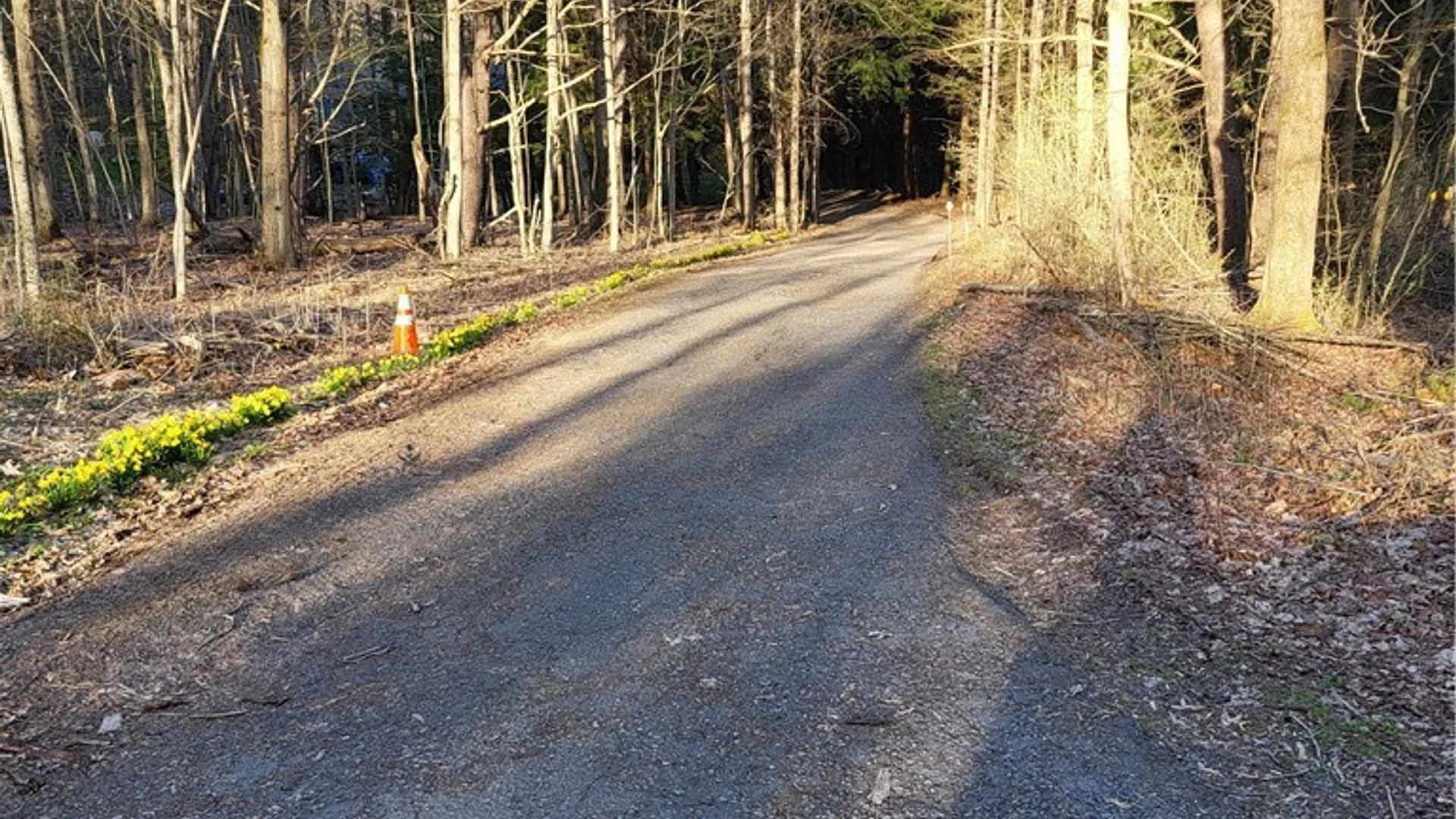 Property at 607 Kilkenny Road, Unadilla, NY 13849 32