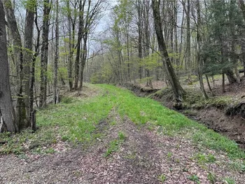 Property at Kansas Hollow Road, Bolivar, NY 14715