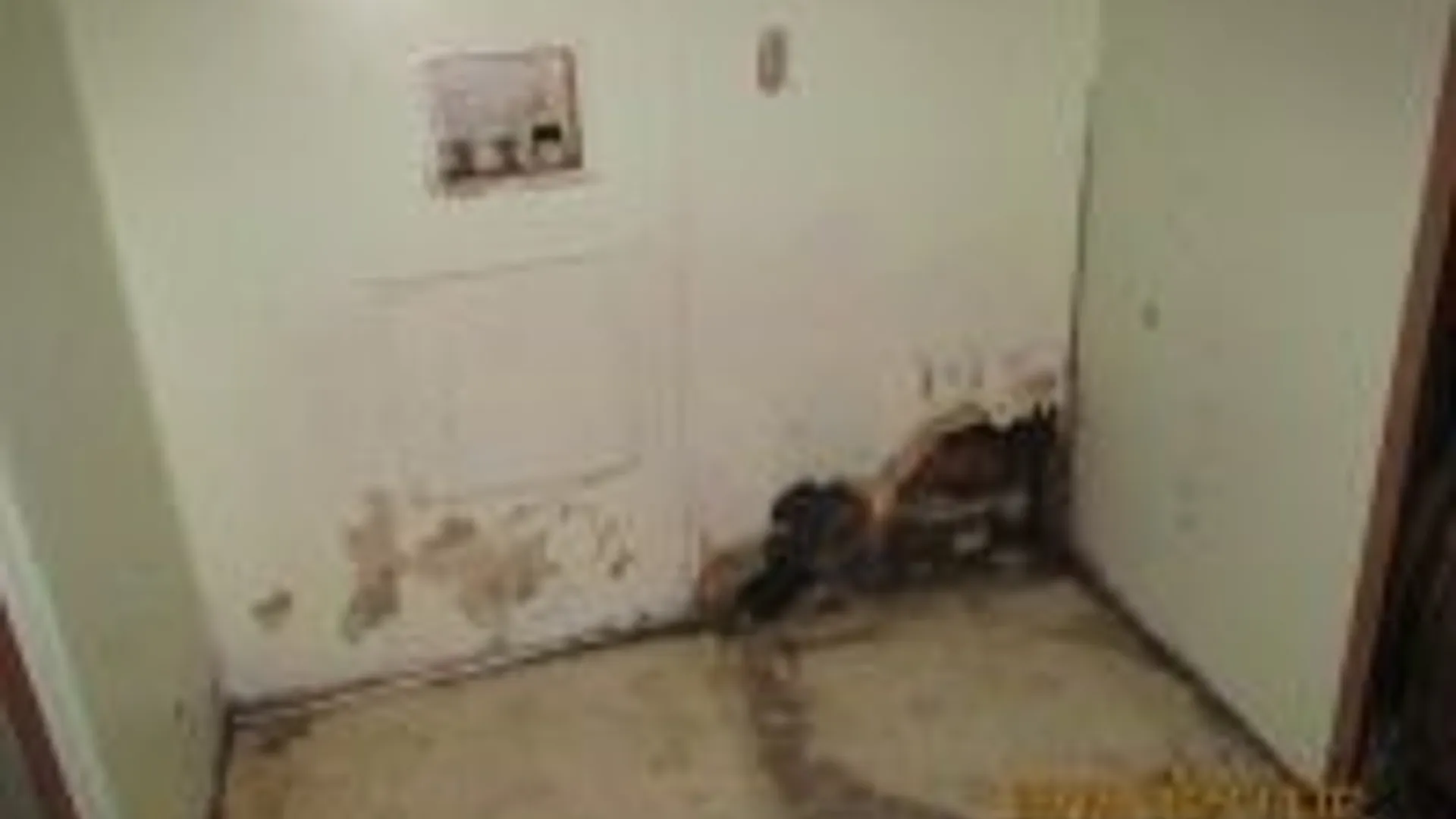 Property at 111 MAPLE Avenue, Augusta, NY 13425 9