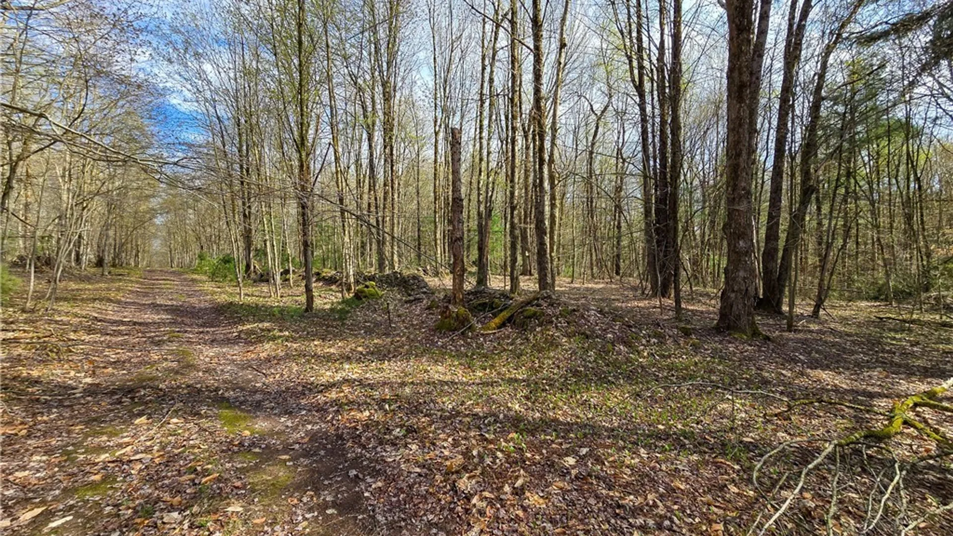 Property at 0 Old State Road, Amboy, NY 13493 10