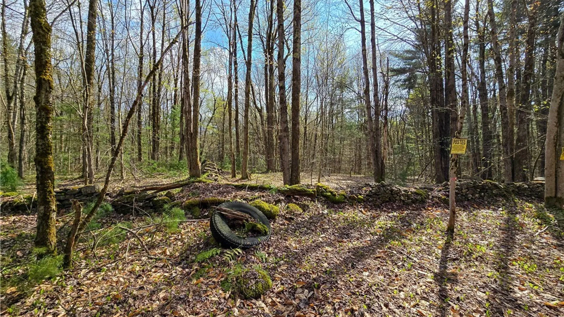 Property at 0 Old State Road, Amboy, NY 13493 12