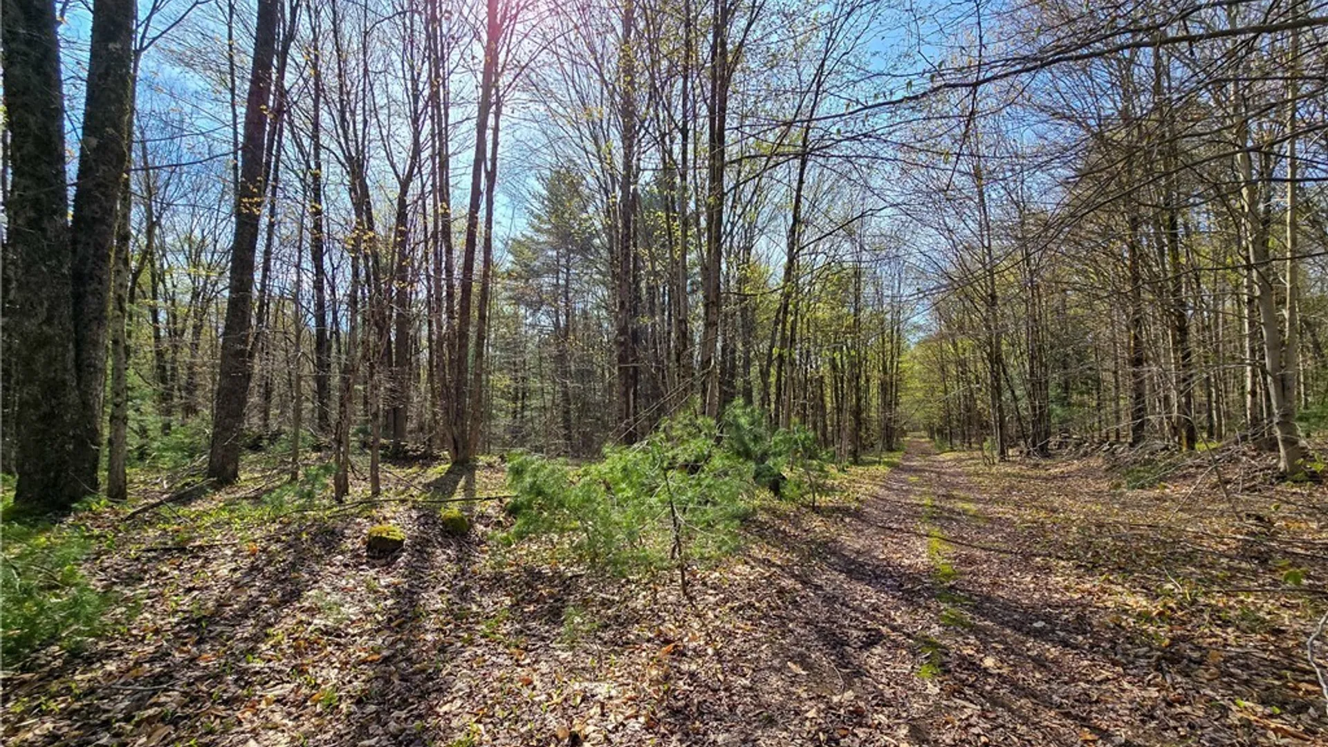 Property at 0 Old State Road, Amboy, NY 13493 13