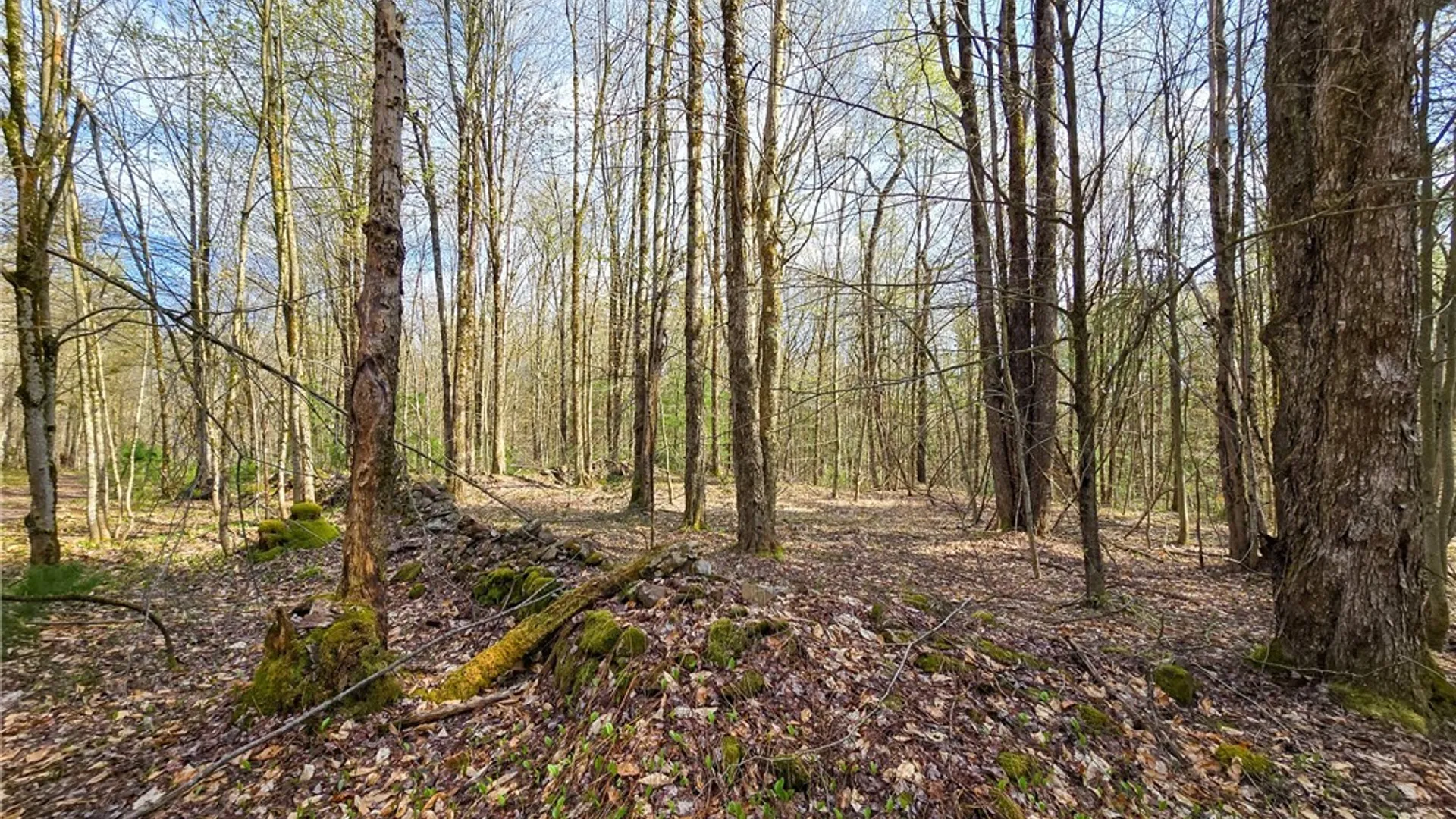 Property at 0 Old State Road, Amboy, NY 13493 14