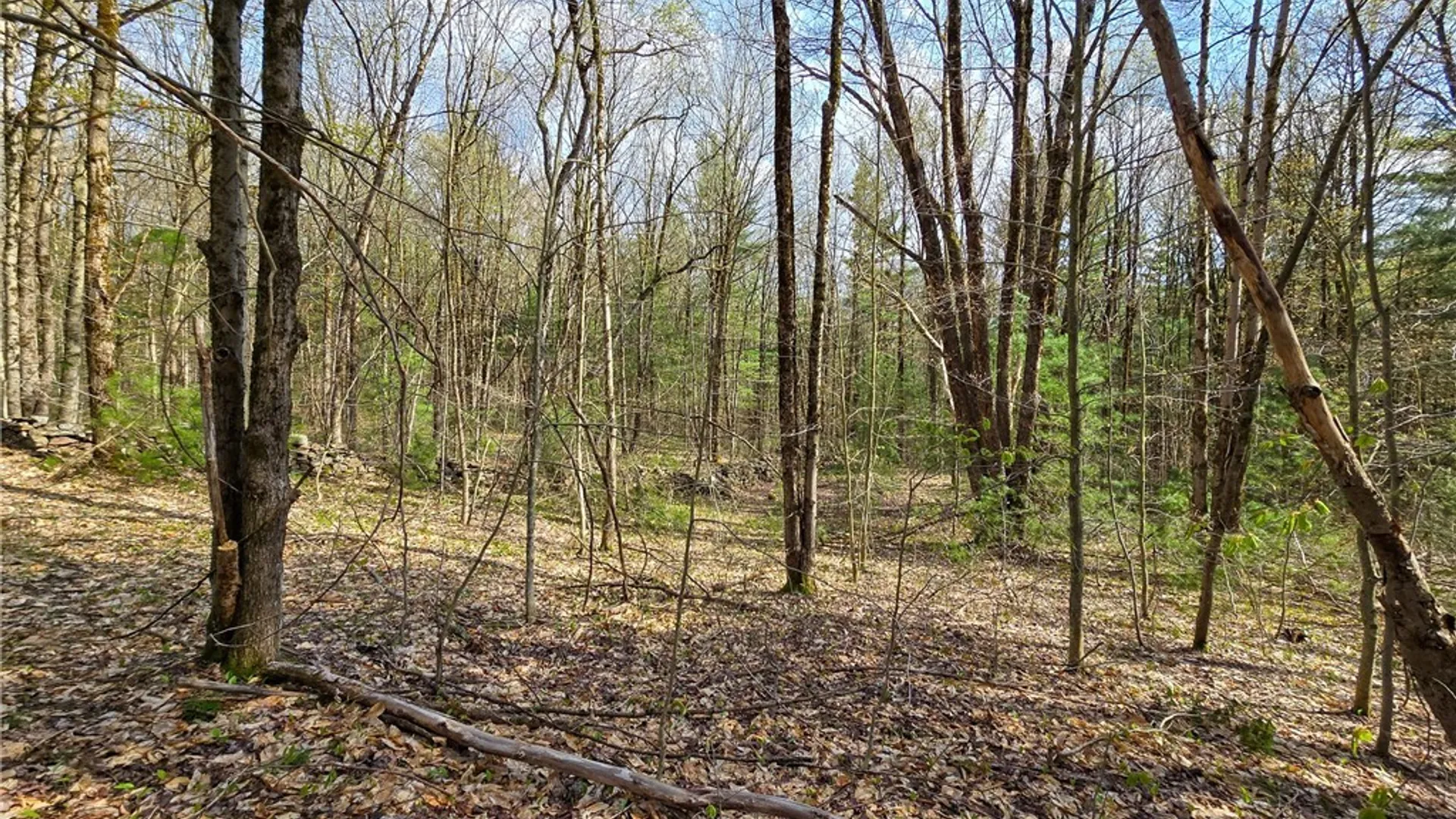 Property at 0 Old State Road, Amboy, NY 13493 15