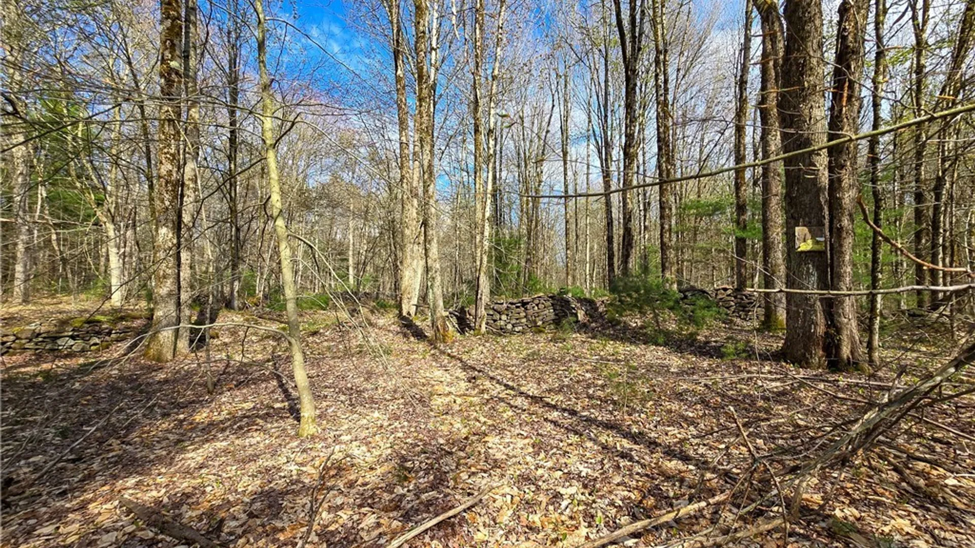 Property at 0 Old State Road, Amboy, NY 13493 16