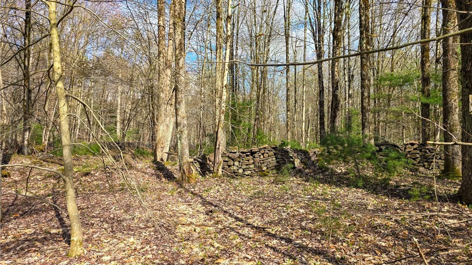 Property at 0 Old State Road, Amboy, NY 13493 17