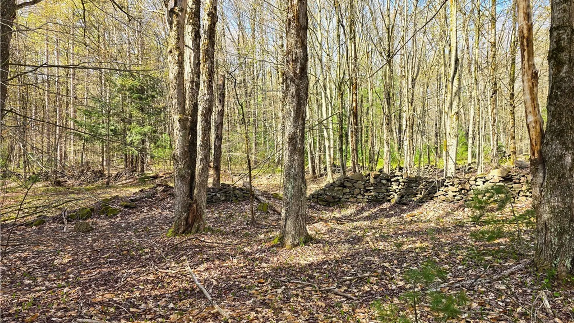 Property at 0 Old State Road, Amboy, NY 13493 18