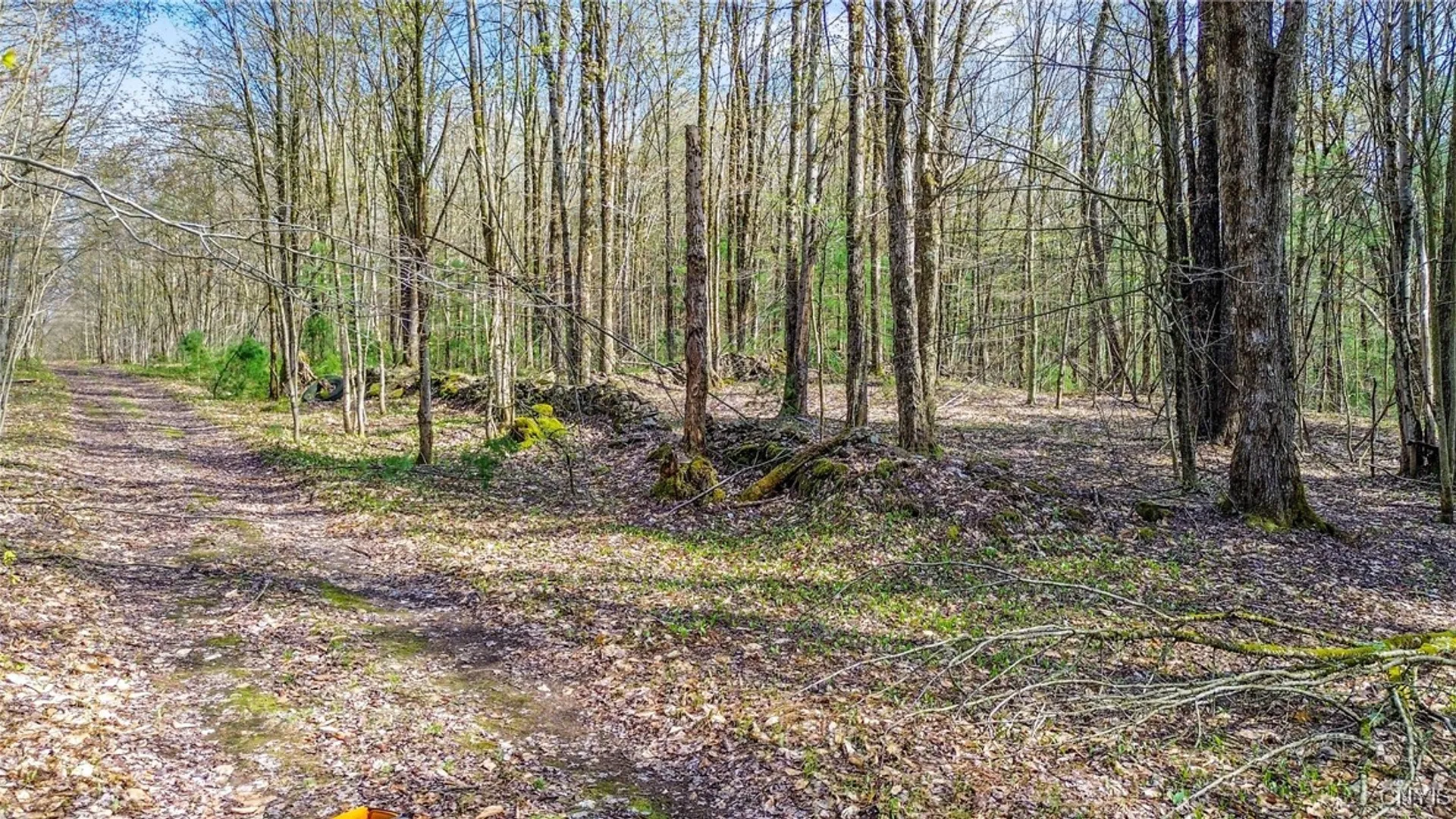 Property at 0 Old State Road, Amboy, NY 13493 19