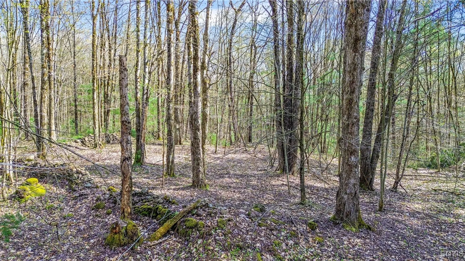 Property at 0 Old State Road, Amboy, NY 13493 20