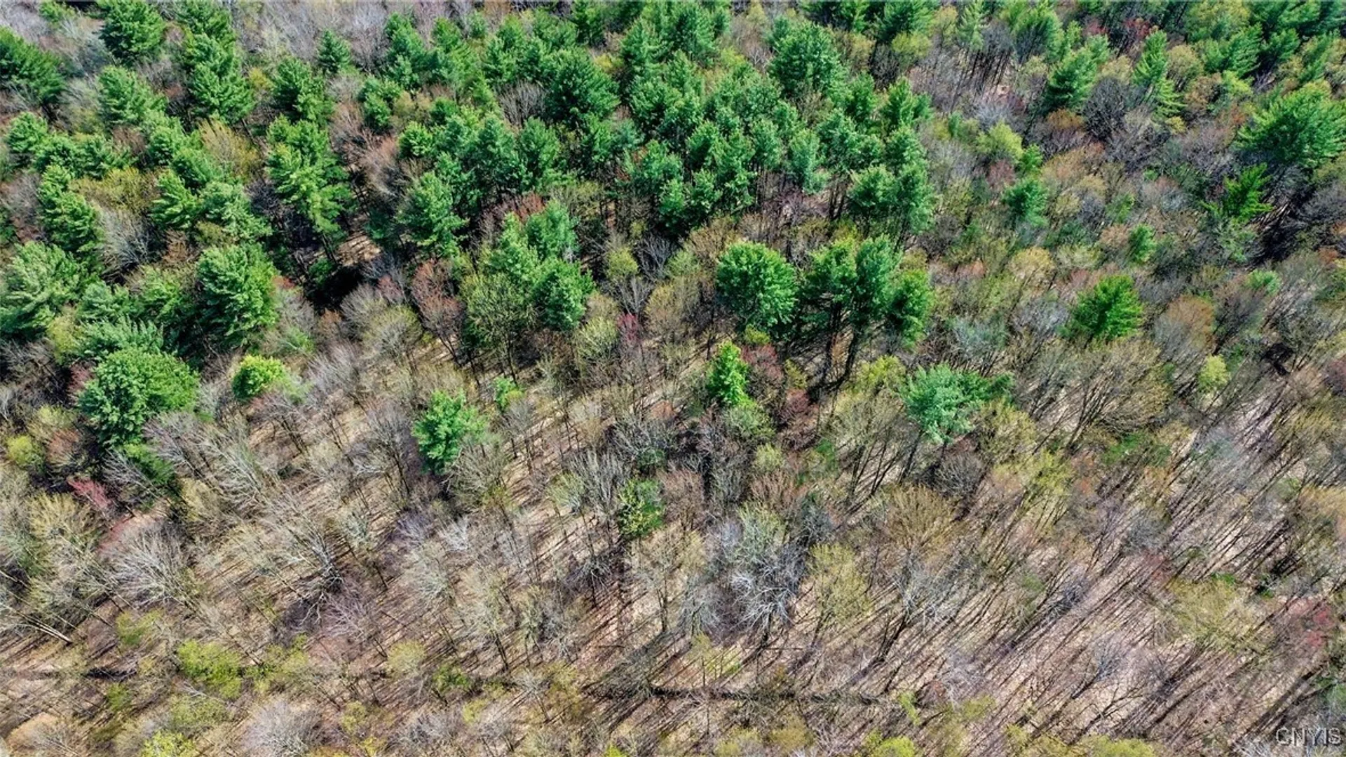 Property at 0 Old State Road, Amboy, NY 13493 9