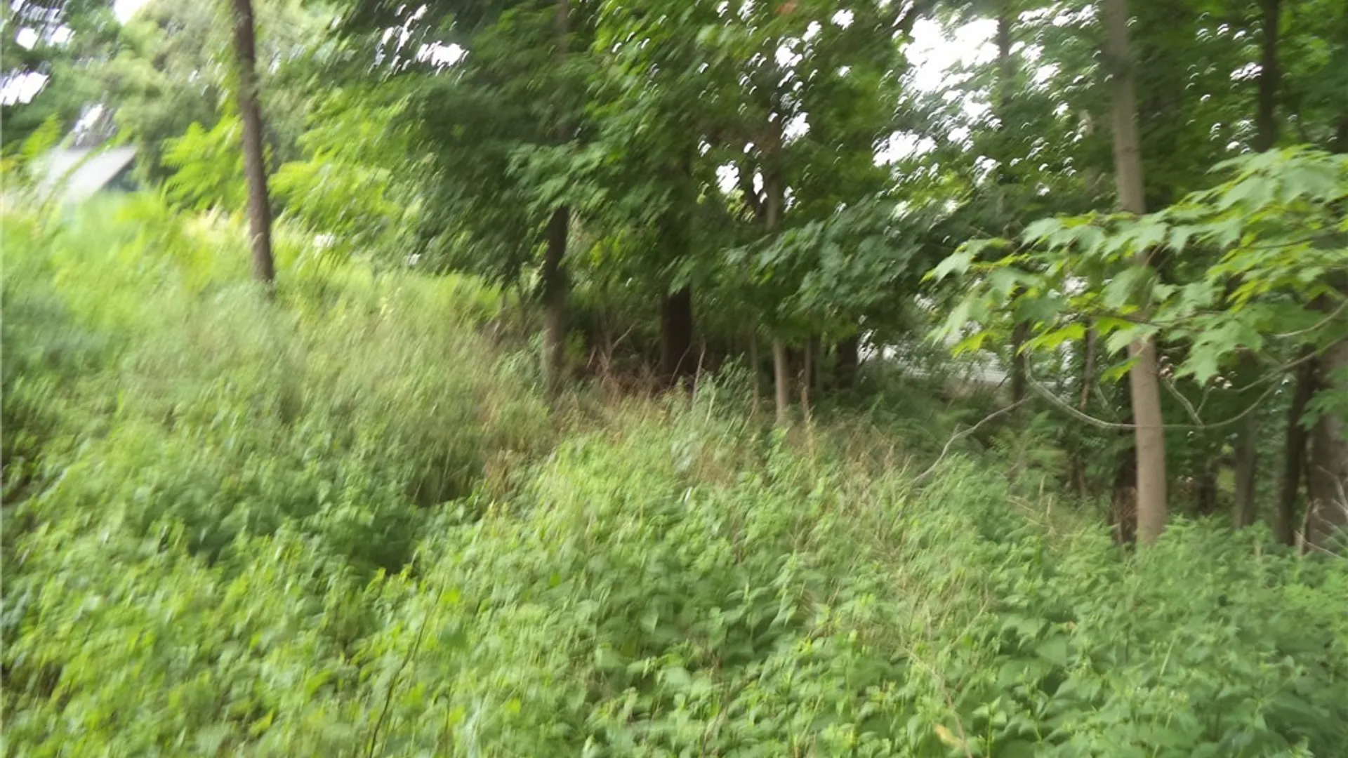 Property at Terry Road, Geddes, NY 13219 3