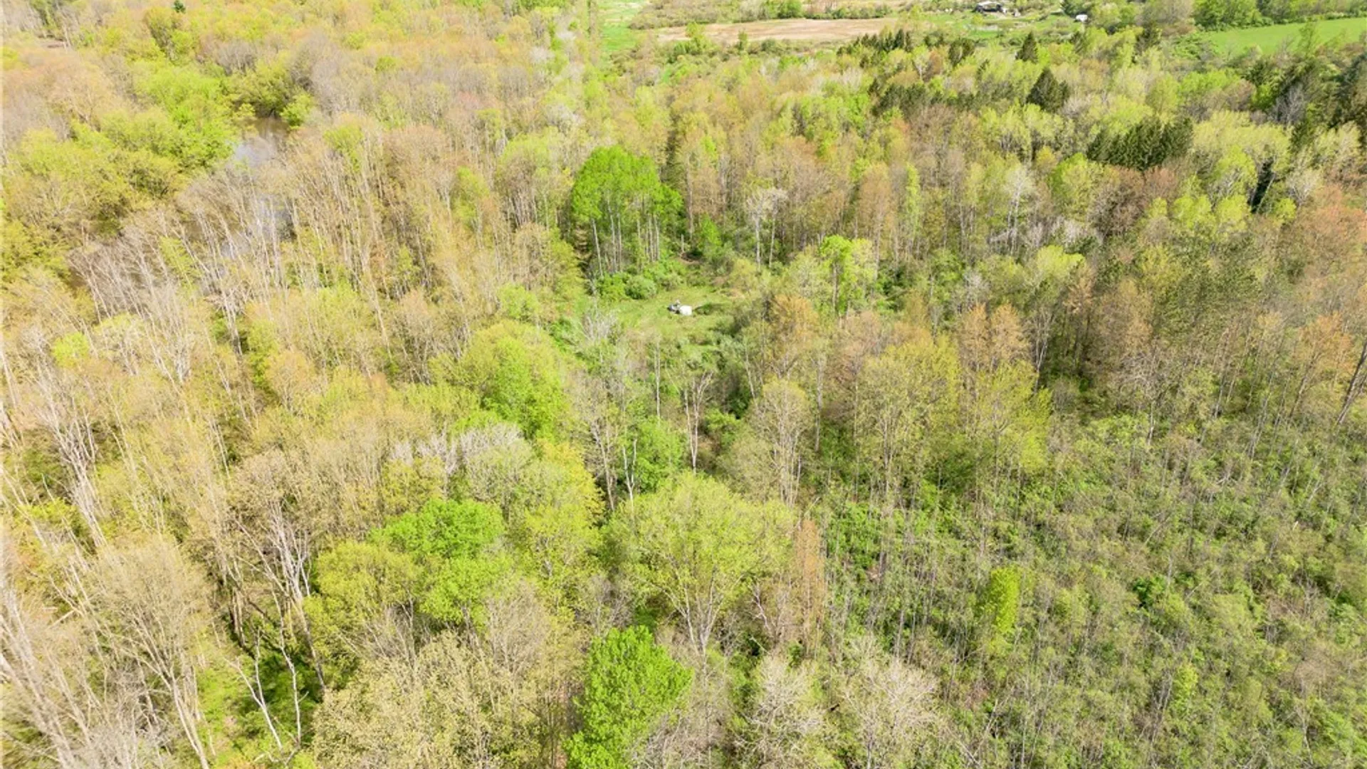 Property at 861 Warren Road, Carroll, NY 14738 12