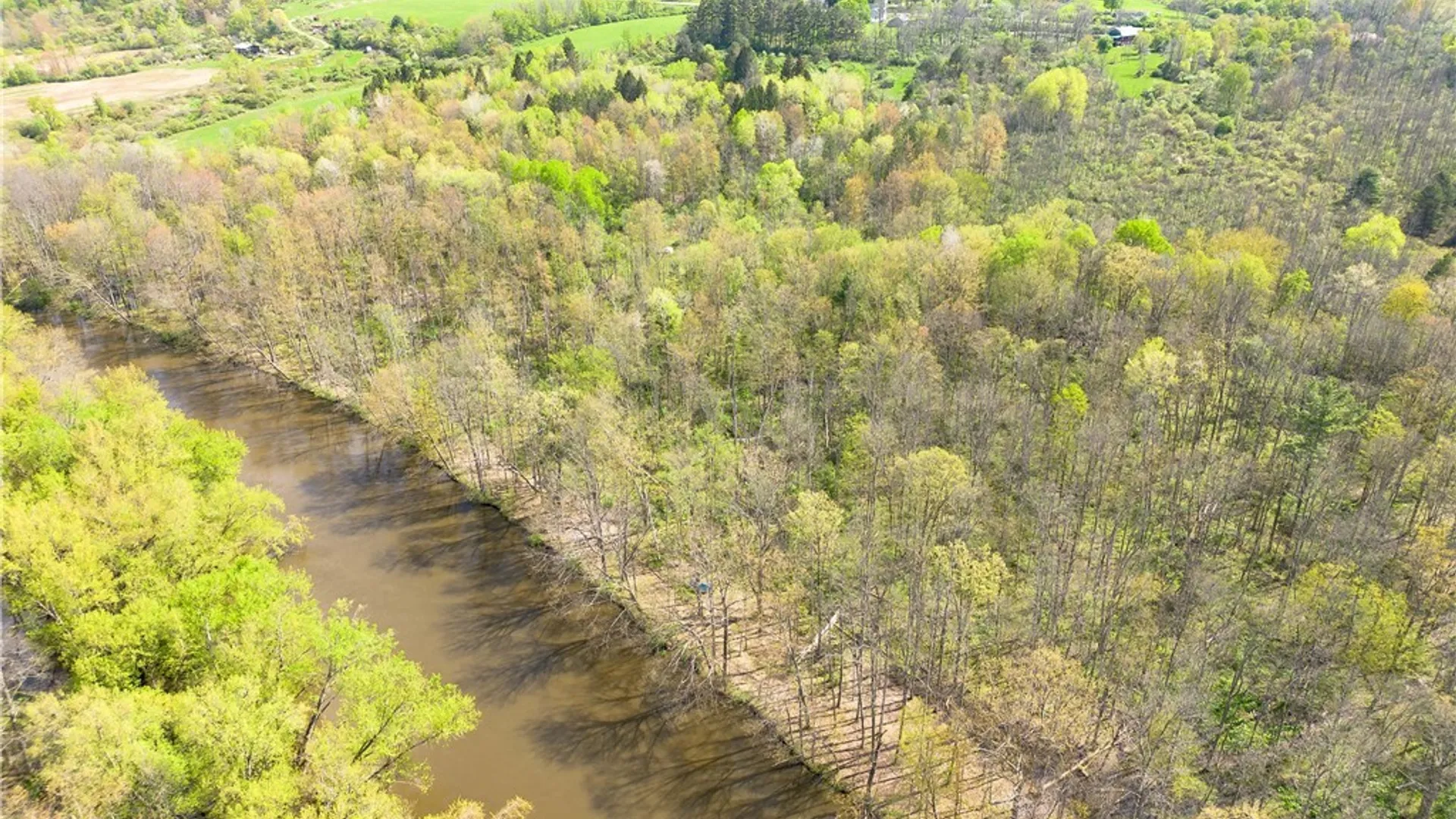 Property at 861 Warren Road, Carroll, NY 14738 8