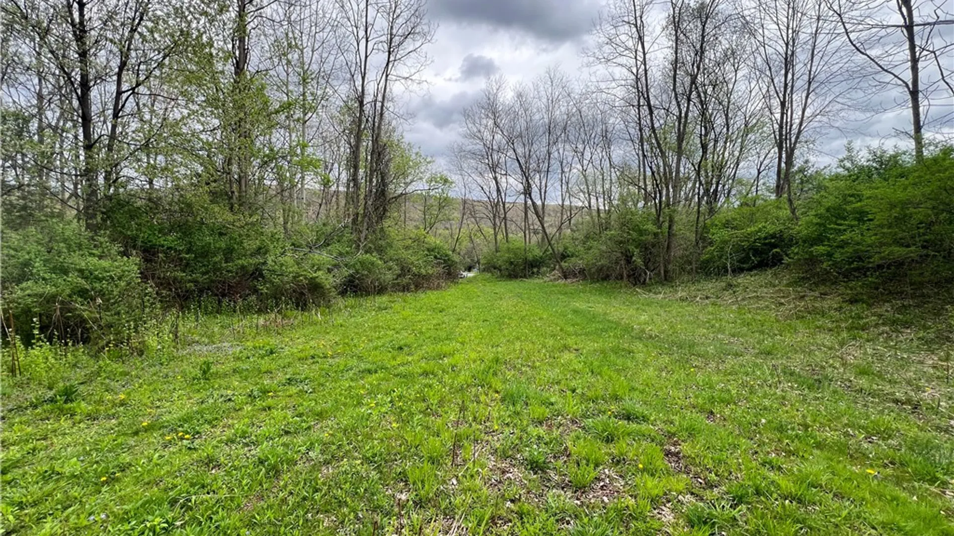 Property at 0 Brown Road, Danby, NY 14883 5
