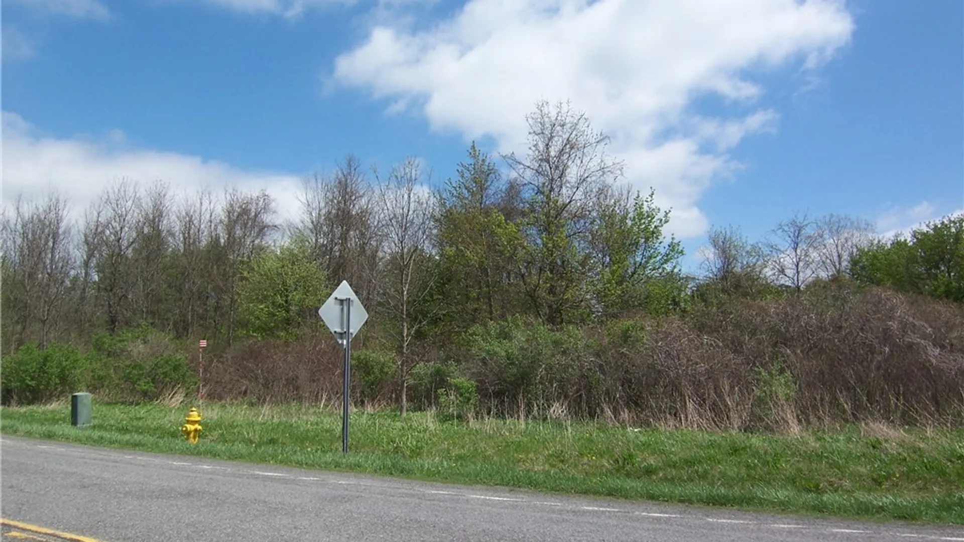 Property at 0 Pearl & Wortendyke Road, Batavia, NY 14020 2