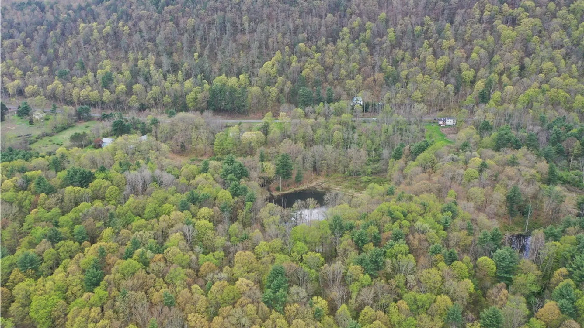 Property at 0 Coddington Road, Caroline, NY 14817 4